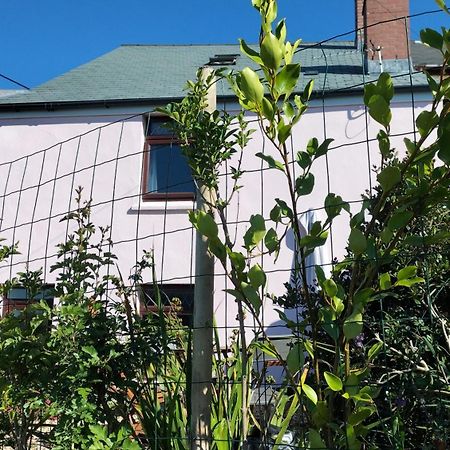 Clearview Cottage St Austell Ngoại thất bức ảnh