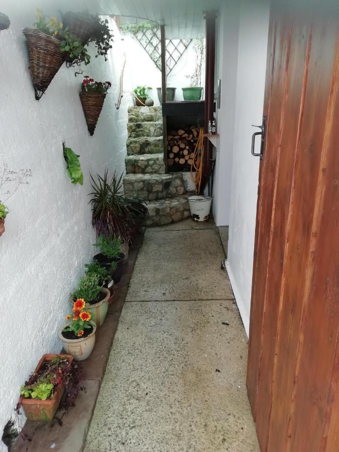 Clearview Cottage St Austell Ngoại thất bức ảnh